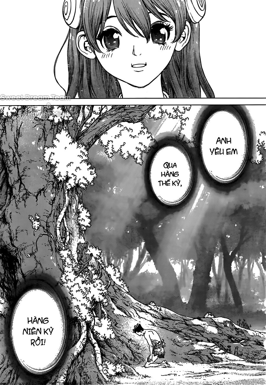 Dr.Stone Chapter 1 - Trang 2