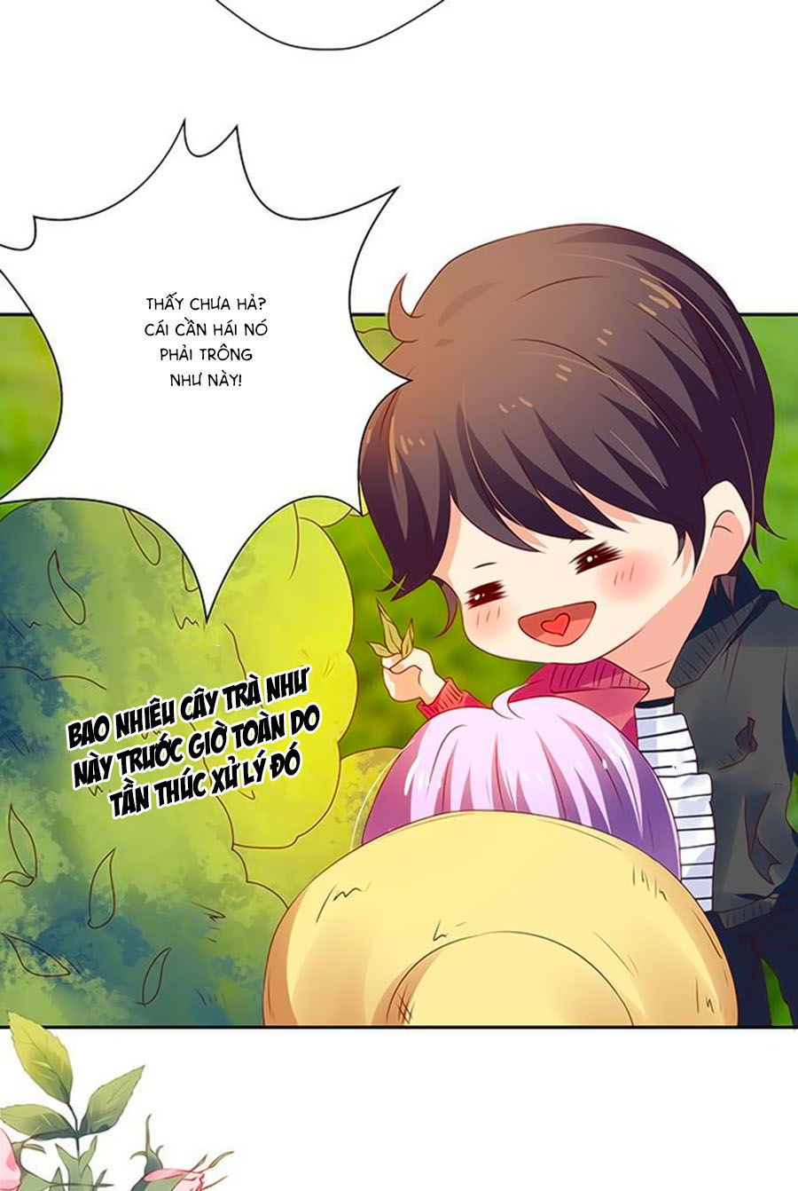 Bạn Trai Là Ngôi Sao Chapter 72 - Trang 2