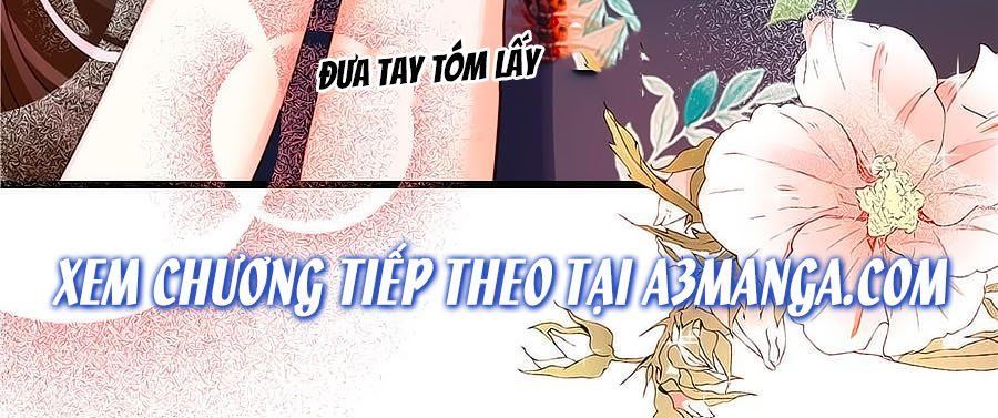 Bạn Trai Là Ngôi Sao Chapter 52 - Trang 2