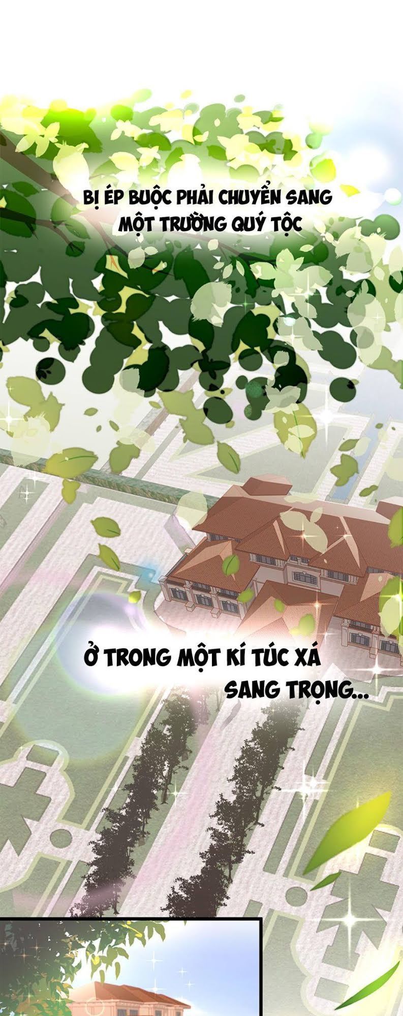 Ứng Cử Viên Hôn Phu Của Ta Chapter 1 - Trang 2