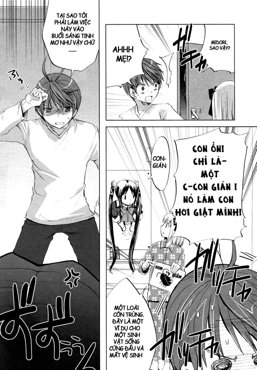 Shirayuki Panimix Chapter 2 - Trang 2