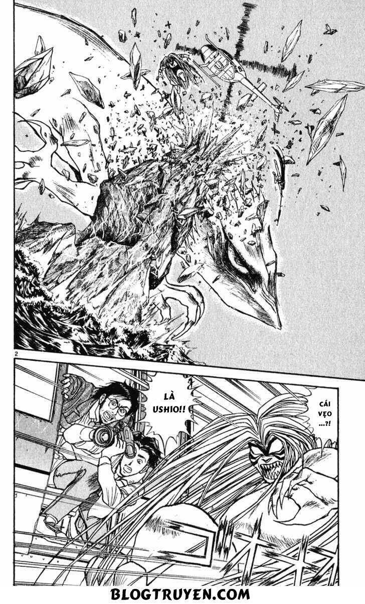 Ushio And Tora Chapter 286 - Trang 2