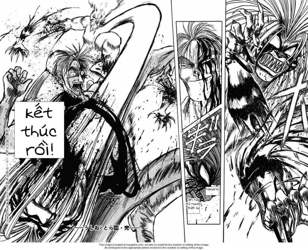 Ushio And Tora Chapter 277 - Trang 2