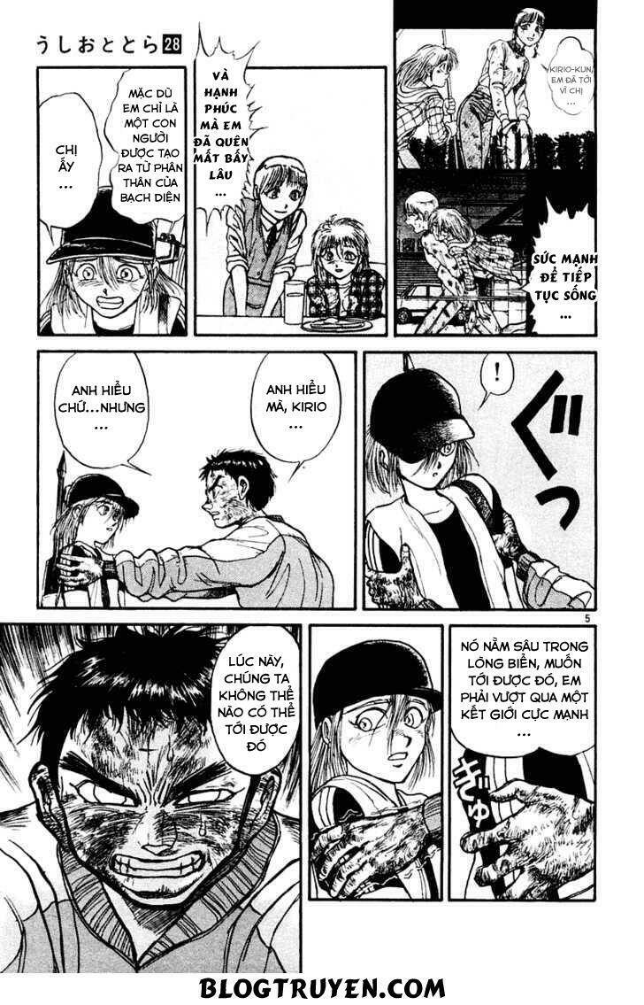 Ushio And Tora Chapter 262 - Trang 2