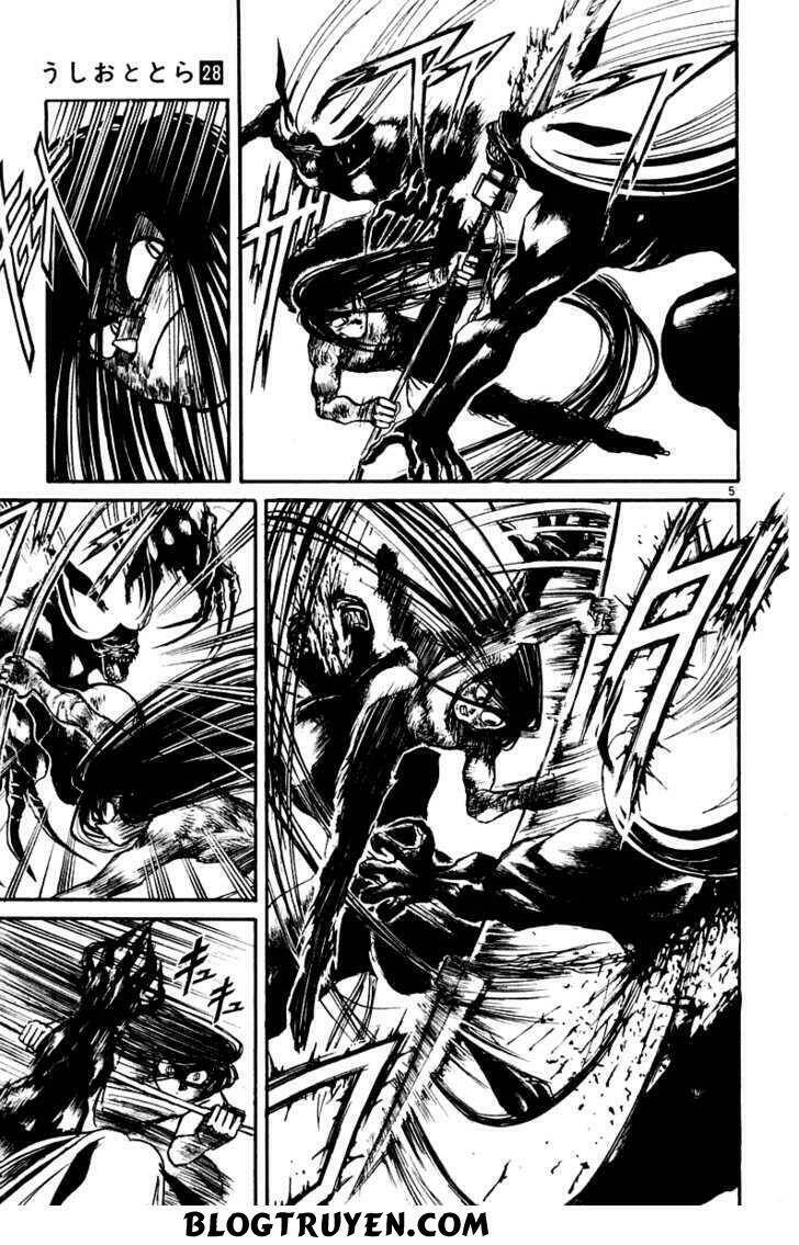 Ushio And Tora Chapter 259 - Trang 2