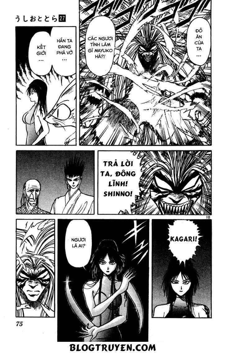 Ushio And Tora Chapter 252 - Trang 2