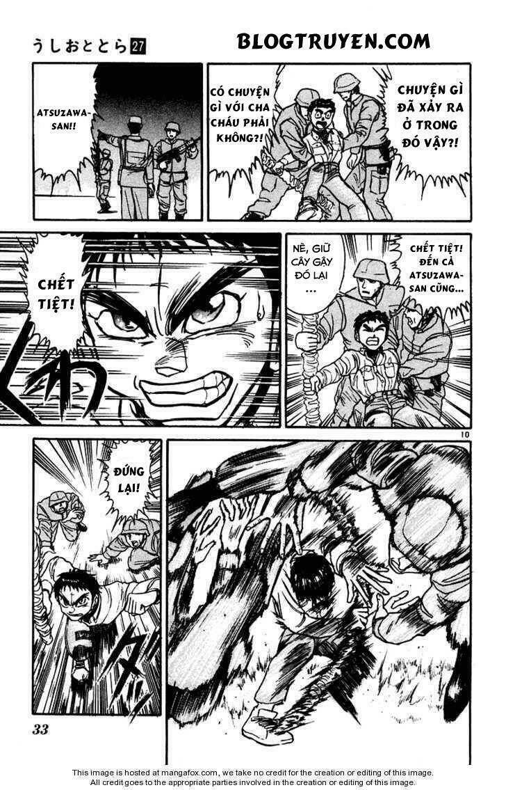 Ushio And Tora Chapter 250 - Trang 2