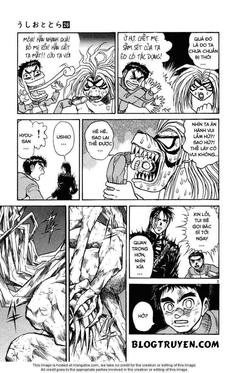 Ushio And Tora Chapter 246 - Trang 2