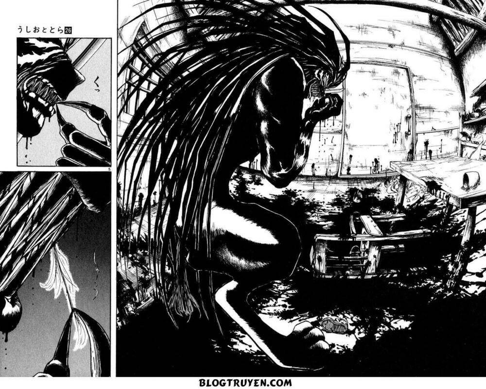 Ushio And Tora Chapter 244 - Trang 2