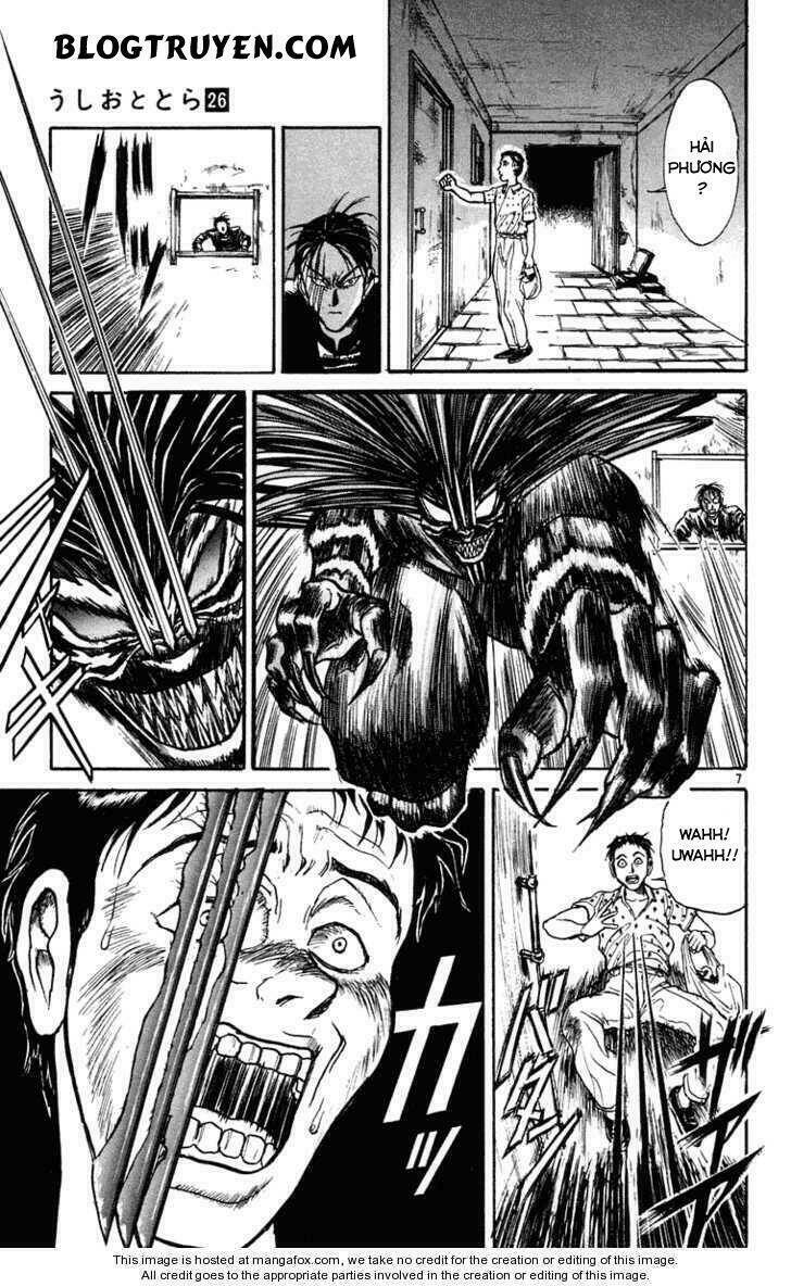 Ushio And Tora Chapter 244 - Trang 2