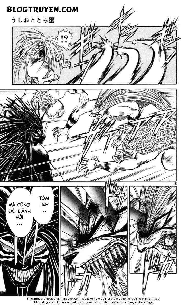 Ushio And Tora Chapter 241 - Trang 2