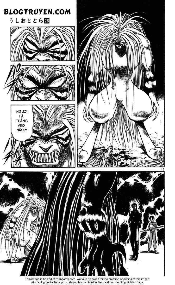 Ushio And Tora Chapter 241 - Trang 2