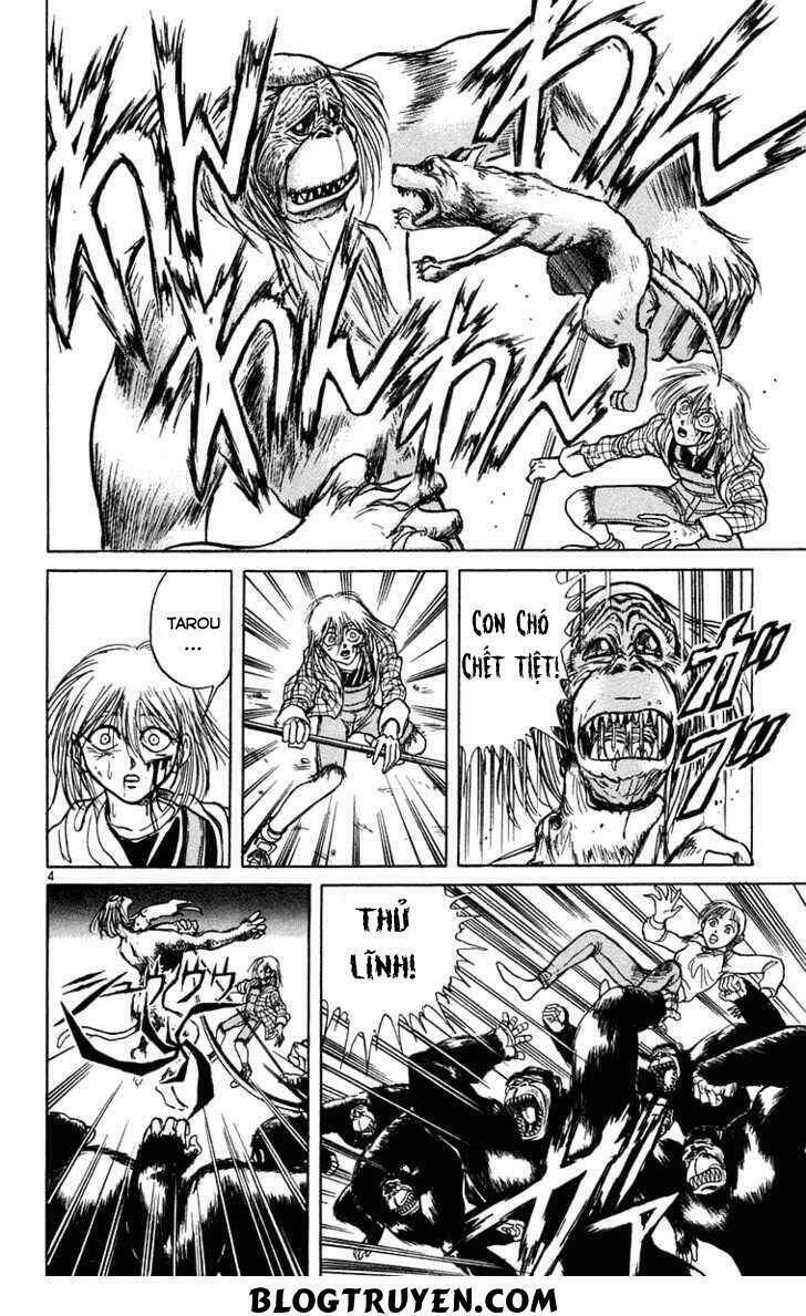 Ushio And Tora Chapter 235 - Trang 2