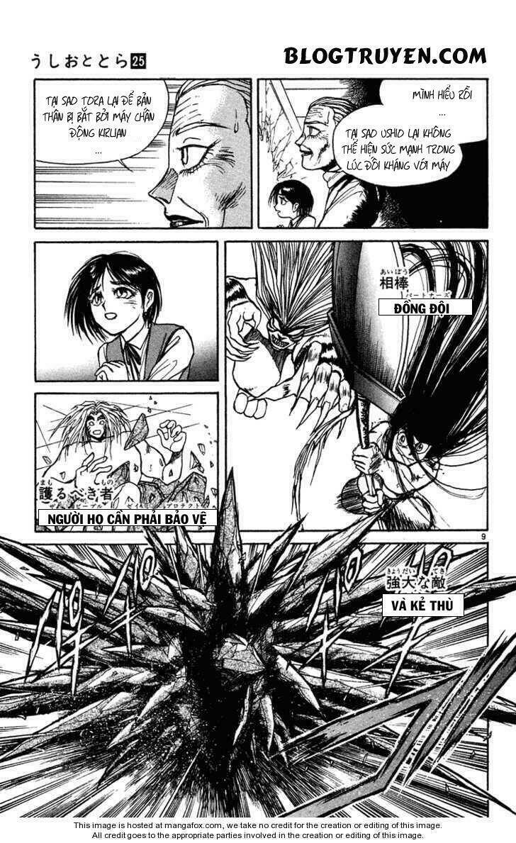 Ushio And Tora Chapter 230 - Trang 2