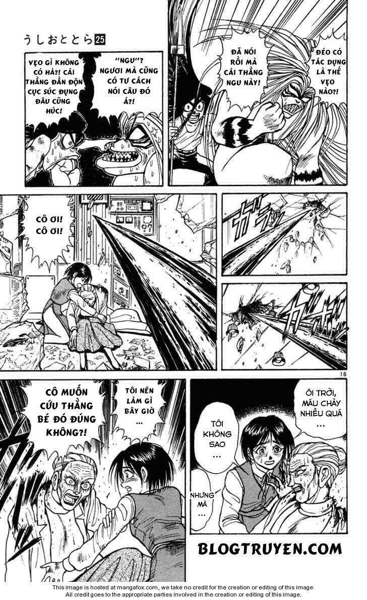 Ushio And Tora Chapter 229 - Trang 2