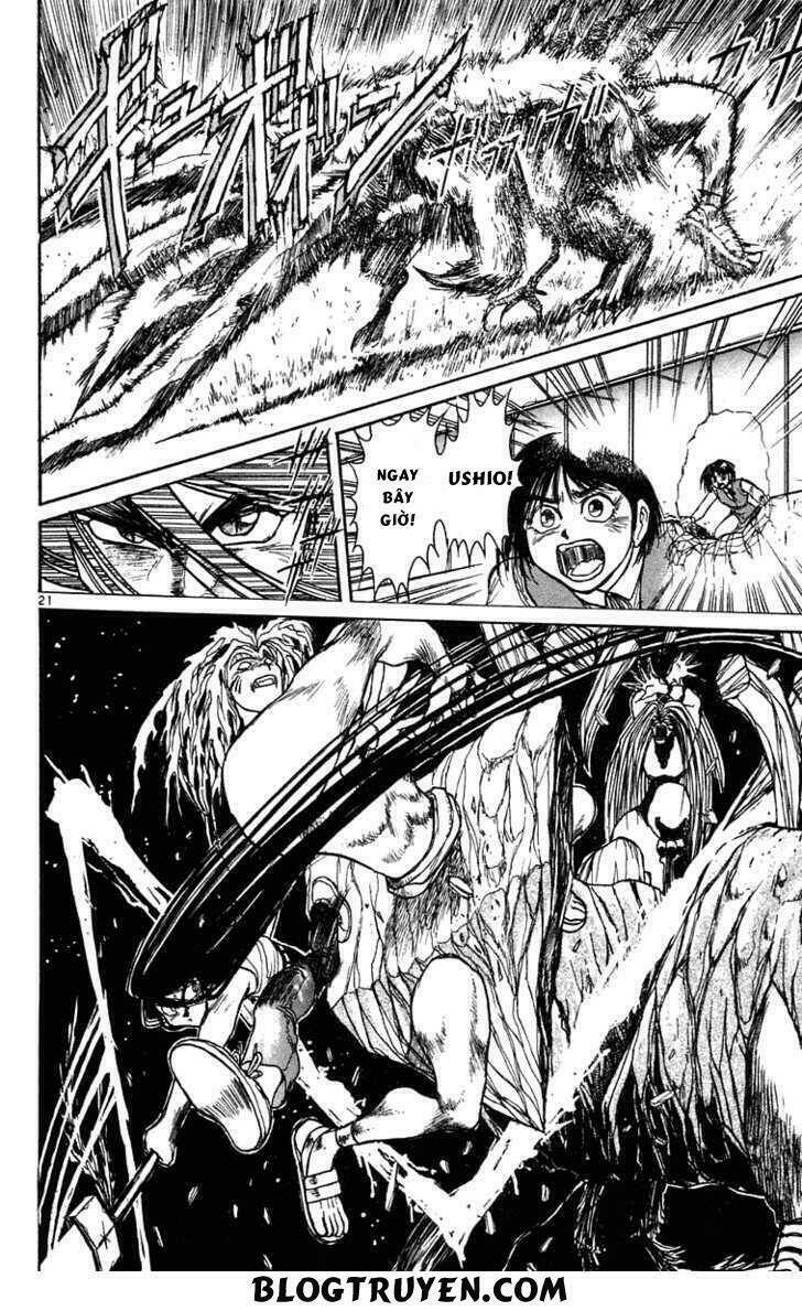 Ushio And Tora Chapter 229 - Trang 2