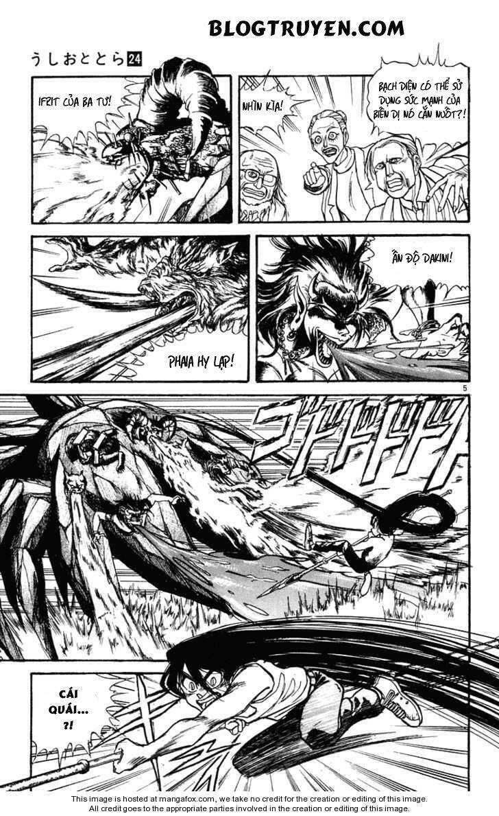 Ushio And Tora Chapter 227 - Trang 2