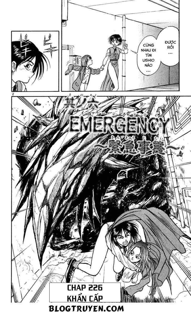 Ushio And Tora Chapter 226 - Trang 2