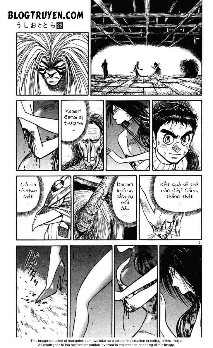 Ushio And Tora Chapter 206 - Trang 2