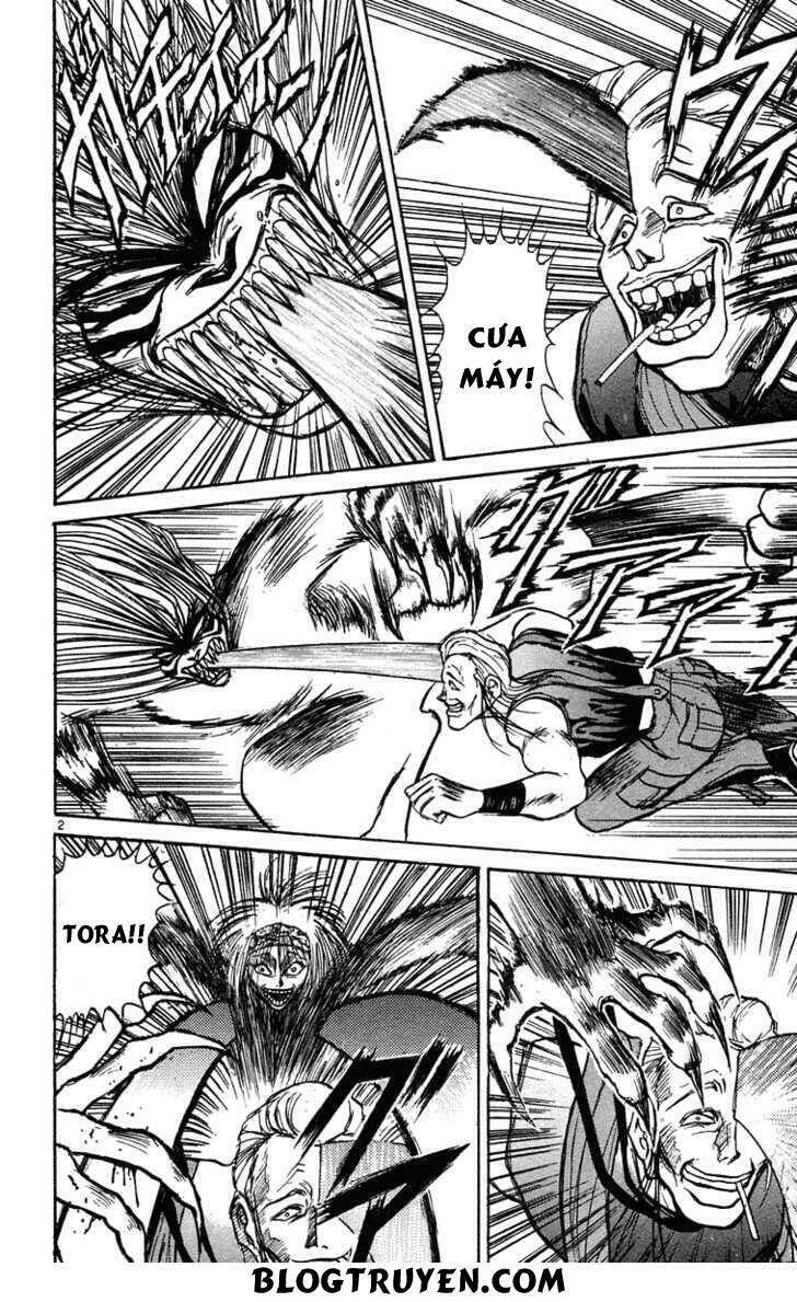 Ushio And Tora Chapter 204 - Trang 2