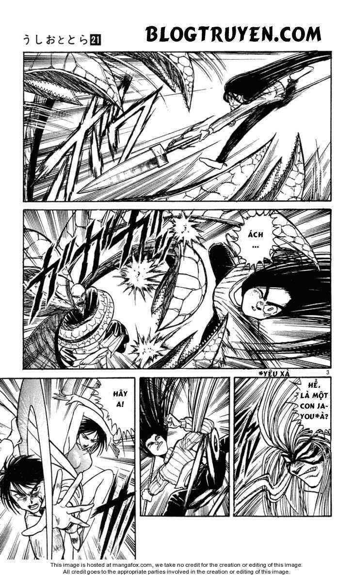 Ushio And Tora Chapter 196 - Trang 2