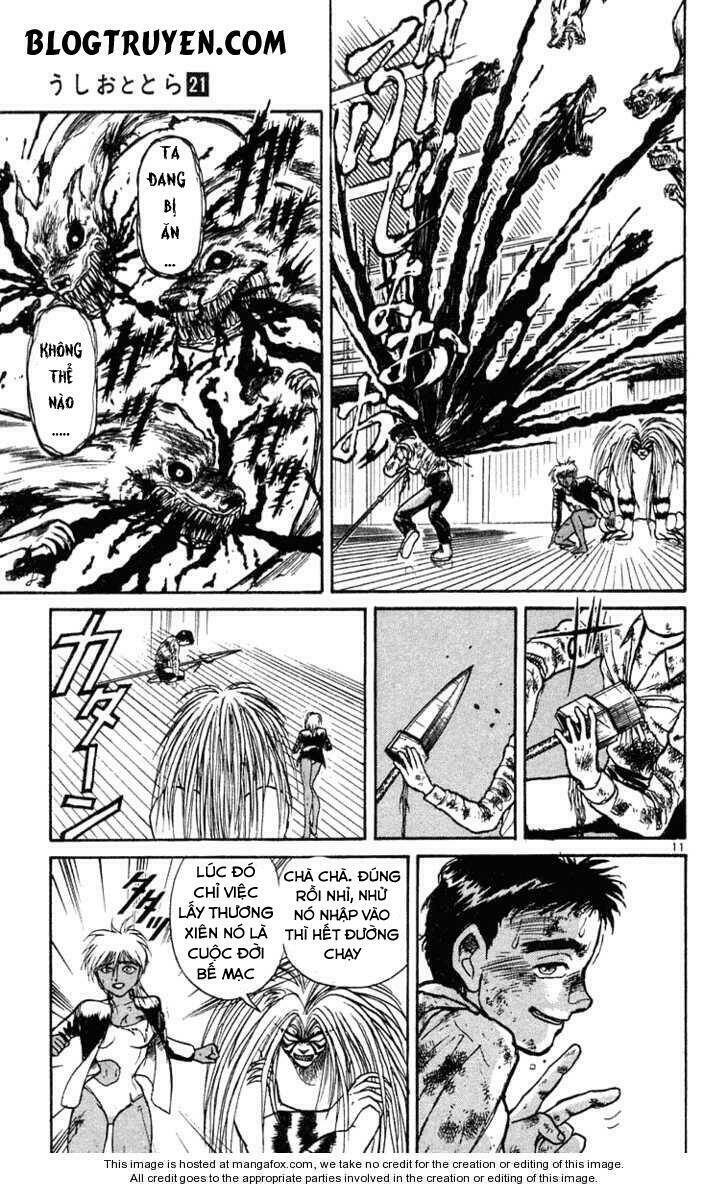 Ushio And Tora Chapter 192 - Trang 2