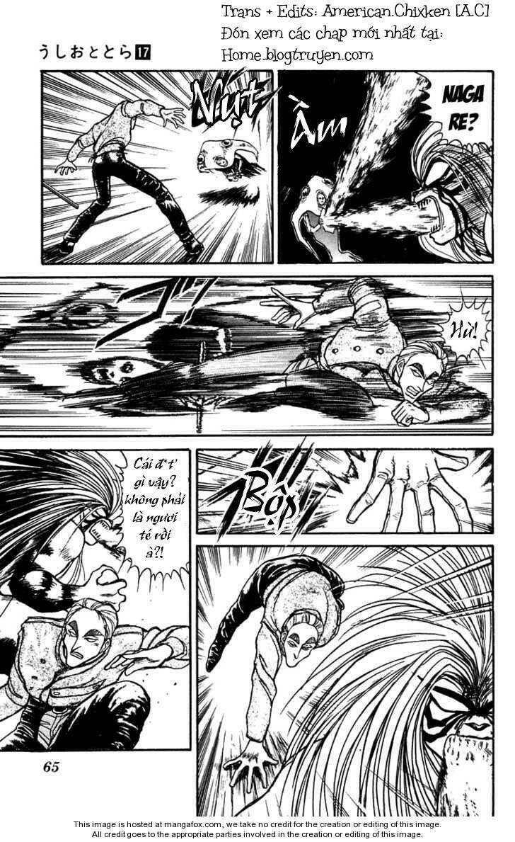 Ushio And Tora Chapter 153 - Trang 2