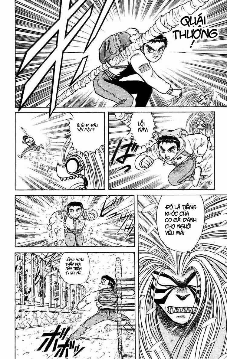 Ushio And Tora Chapter 117 - Trang 2