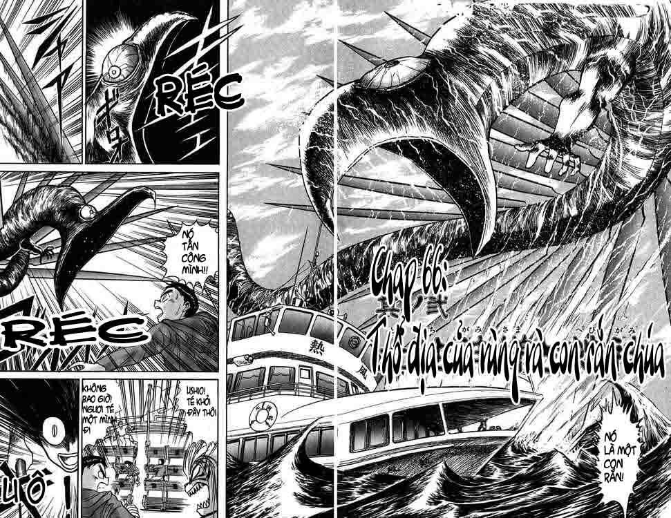 Ushio And Tora Chapter 66 - Trang 2