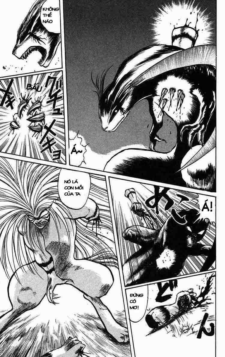 Ushio And Tora Chapter 41 - Trang 2