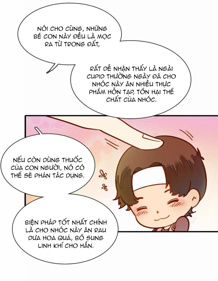 Tại Hạ Là Thần Tình Yêu Chapter 51 - Trang 2