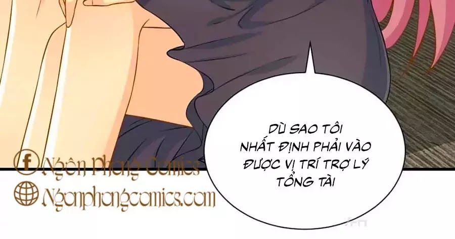 Phụng Tử Thành Hôn: Vợ Mới Không Được Trốn Thoát Chapter 4 - Trang 2