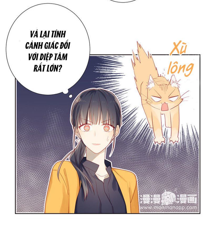 Lời Thề Như Sương Triều Chapter 5 - Trang 2