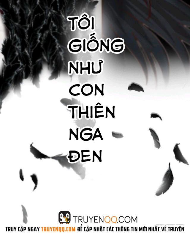 Thiên Nga Đen Chapter 0 - Trang 2