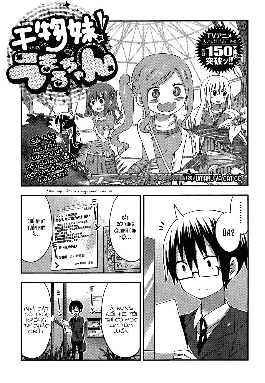 Himouto! Umaru-Chan Chapter 120 - Trang 2