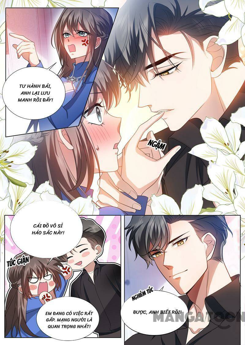 Thiếu Soái! Vợ Ngài Lại Bỏ Trốn Chapter 500 - Trang 2