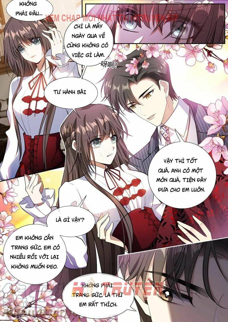 Thiếu Soái! Vợ Ngài Lại Bỏ Trốn Chapter 367 - Trang 2