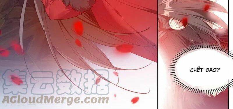 Thiếu Soái! Vợ Ngài Lại Bỏ Trốn Chapter 354 - Trang 2