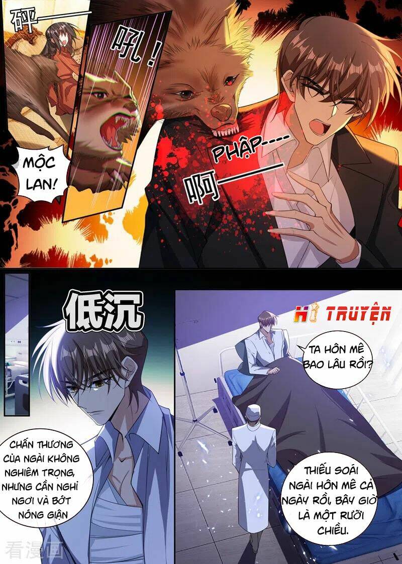 Thiếu Soái! Vợ Ngài Lại Bỏ Trốn Chapter 349 - Trang 2