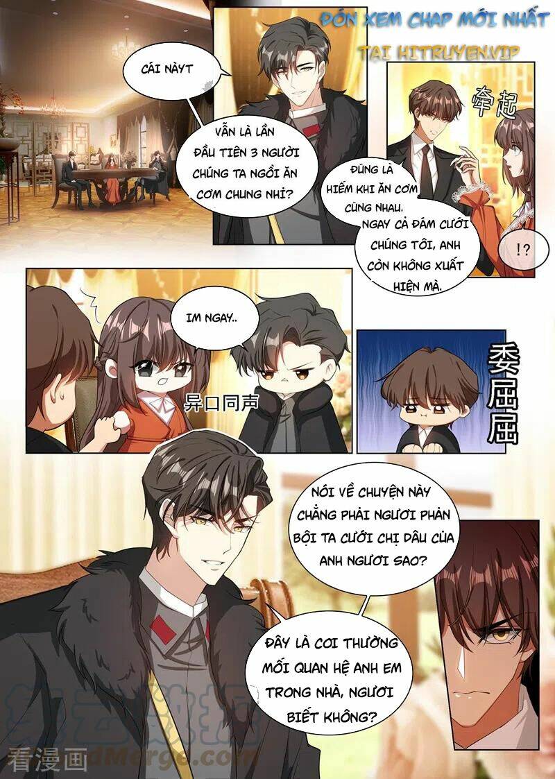 Thiếu Soái! Vợ Ngài Lại Bỏ Trốn Chapter 347 - Trang 2