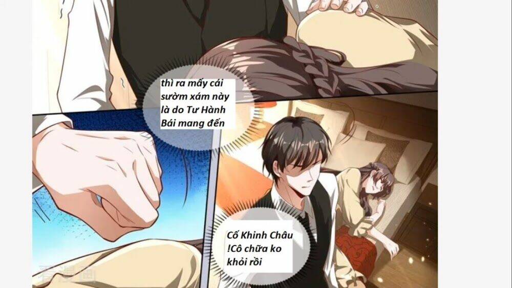 Thiếu Soái! Vợ Ngài Lại Bỏ Trốn Chapter 332 - Trang 2