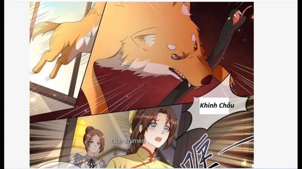 Thiếu Soái! Vợ Ngài Lại Bỏ Trốn Chapter 331 - Trang 2