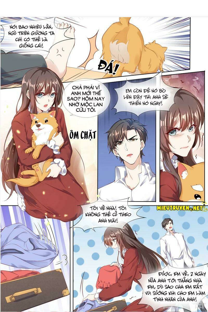 Thiếu Soái! Vợ Ngài Lại Bỏ Trốn Chapter 281 - Trang 2