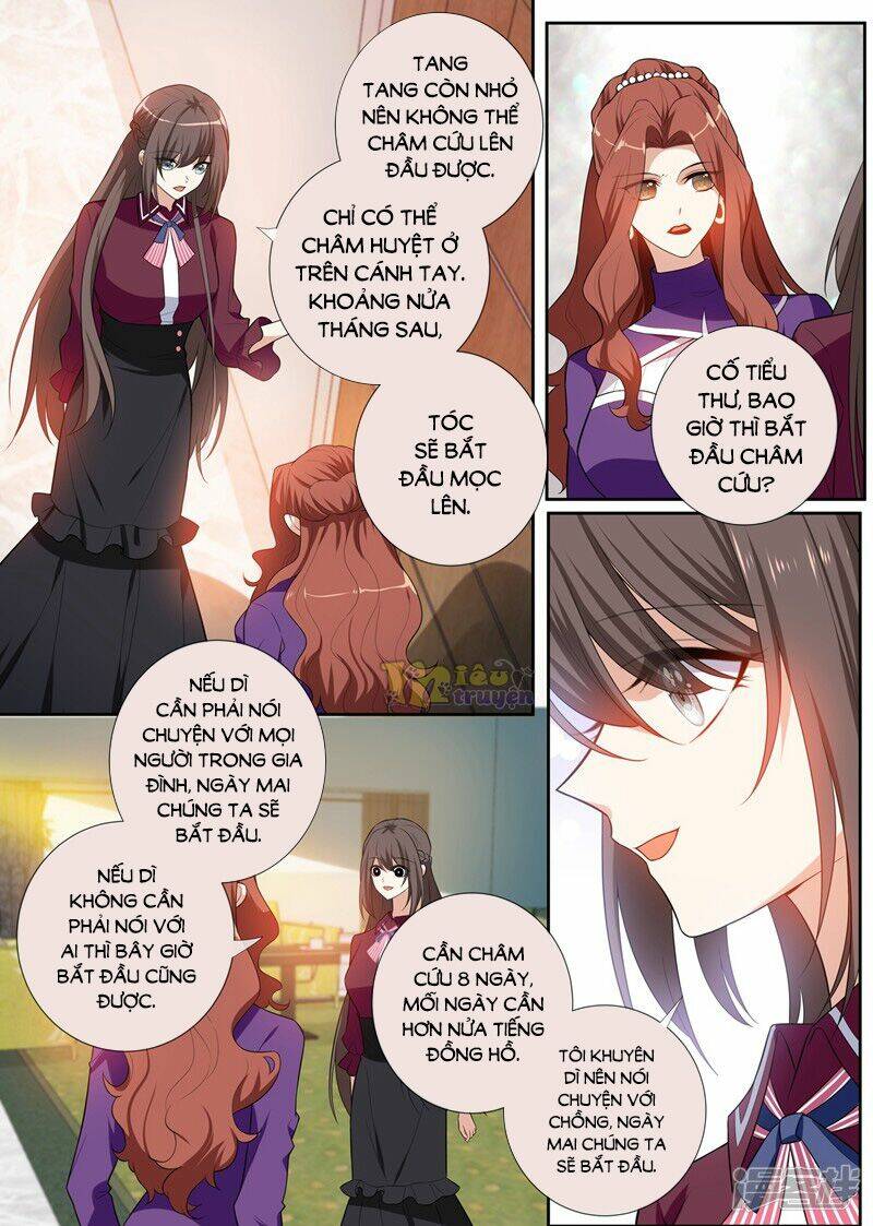 Thiếu Soái! Vợ Ngài Lại Bỏ Trốn Chapter 259 - Trang 2