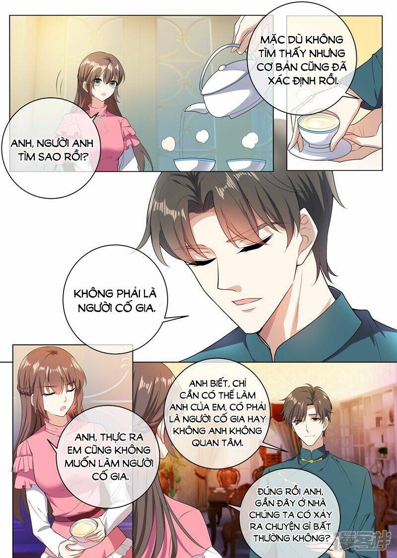 Thiếu Soái! Vợ Ngài Lại Bỏ Trốn Chapter 241 - Trang 2