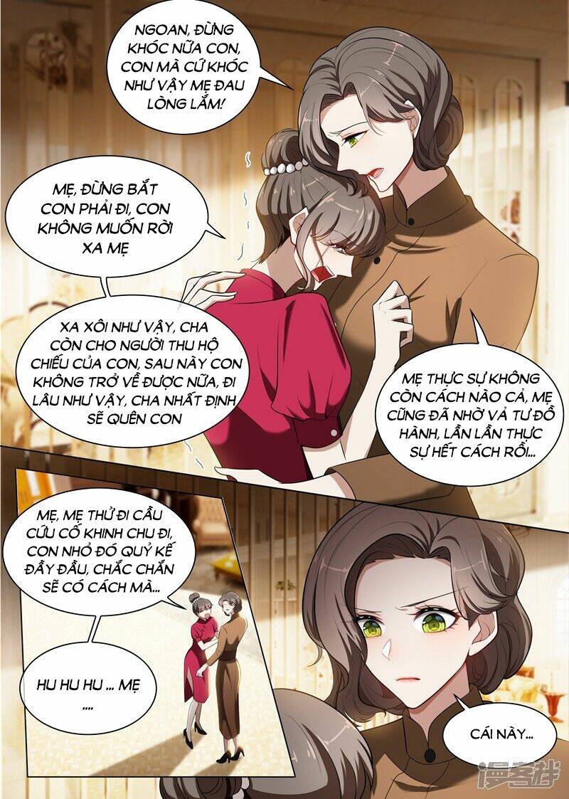 Thiếu Soái! Vợ Ngài Lại Bỏ Trốn Chapter 239 - Trang 2