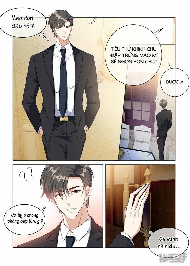 Thiếu Soái! Vợ Ngài Lại Bỏ Trốn Chapter 229 - Trang 2