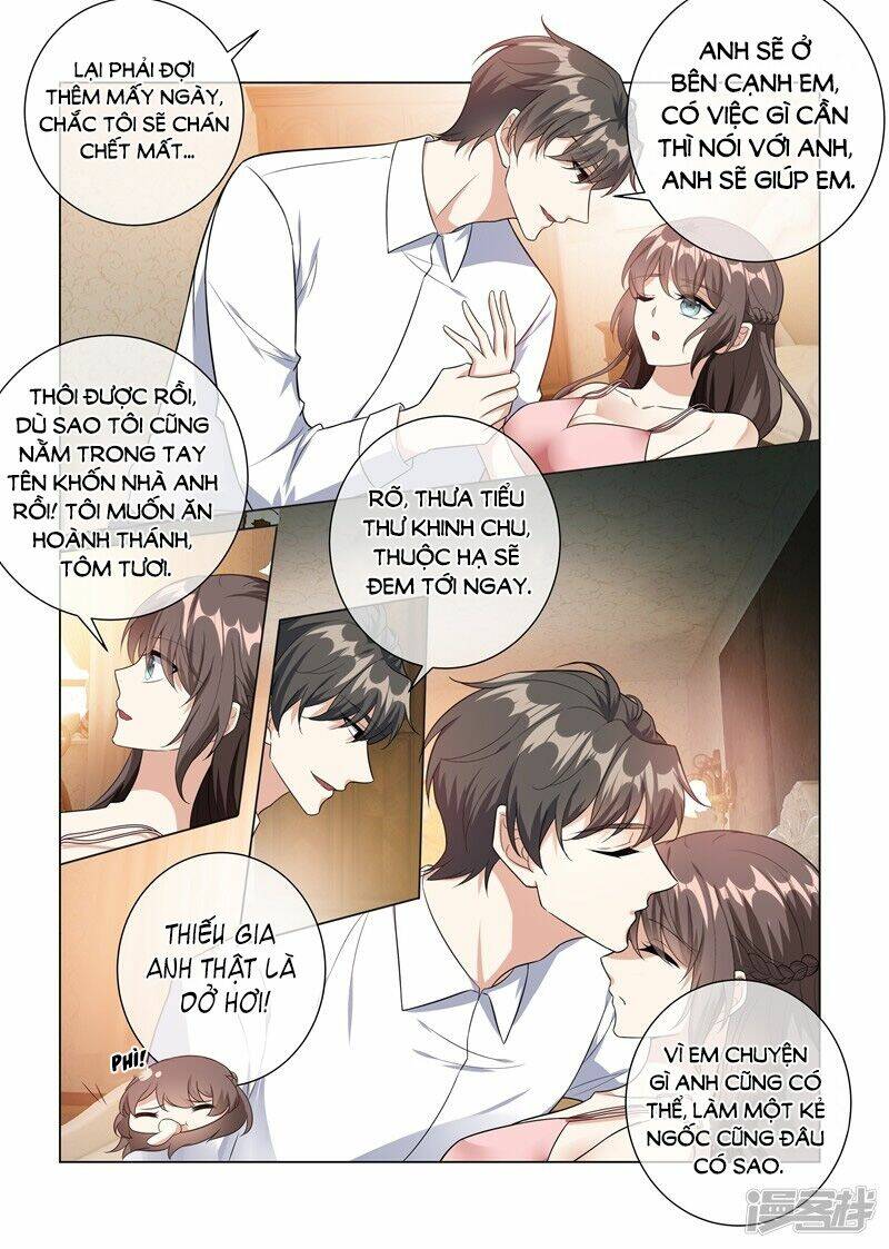 Thiếu Soái! Vợ Ngài Lại Bỏ Trốn Chapter 226 - Trang 2