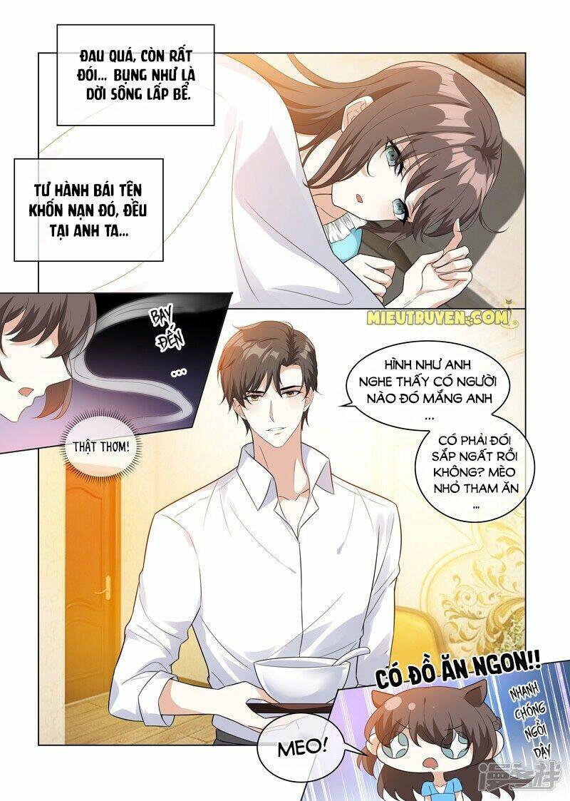 Thiếu Soái! Vợ Ngài Lại Bỏ Trốn Chapter 208 - Trang 2