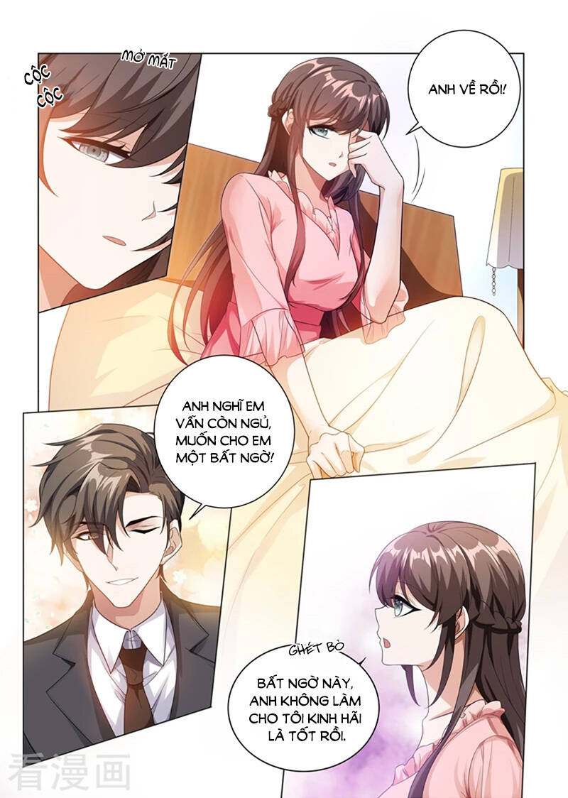 Thiếu Soái! Vợ Ngài Lại Bỏ Trốn Chapter 185 - Trang 2